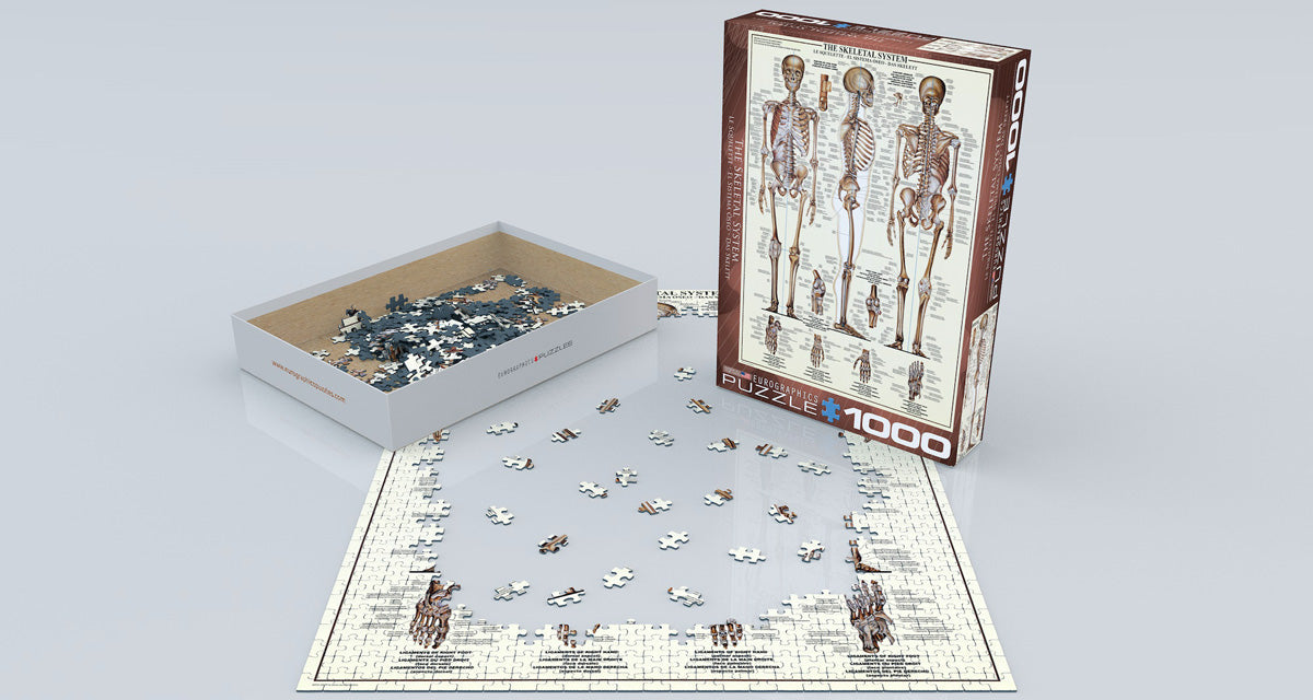 Puzzle: Anatomy & Science Charts - The Skeletal System