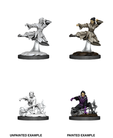 D&D: Nolzur's Marvelous Miniatures - Female Human Monk