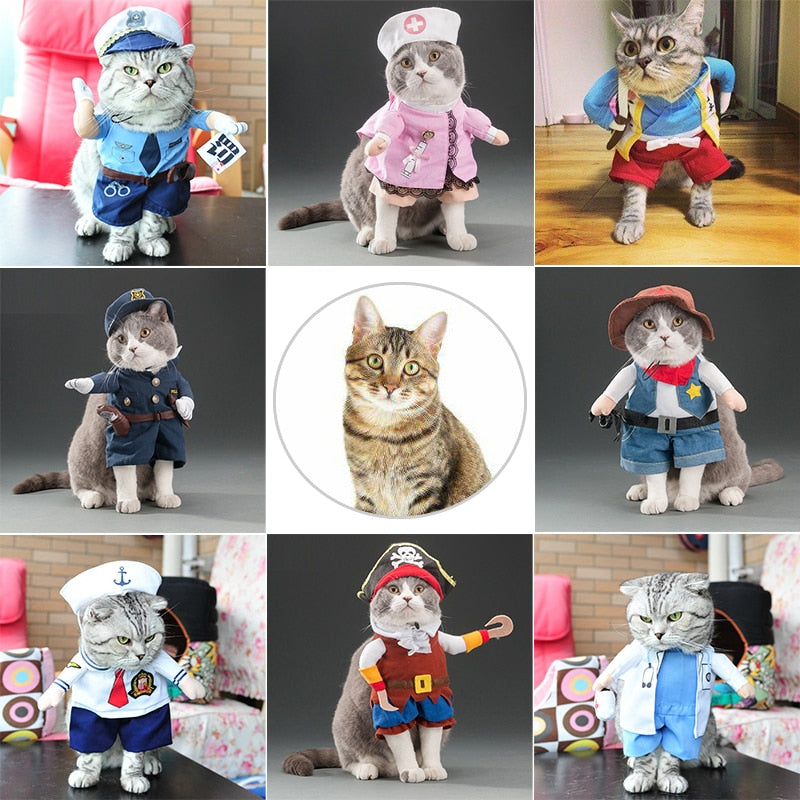 Funny cats and dogs costumes