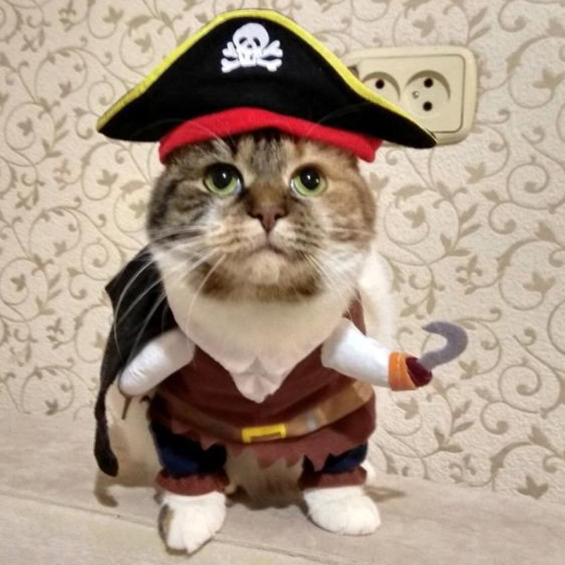 Cute Halloween Cat Pirate Costumes