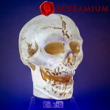 Giant Skull Animatronic Lamp Prop 20-Inch-Tall Heavy Duty Polyresin Halloween Decoration