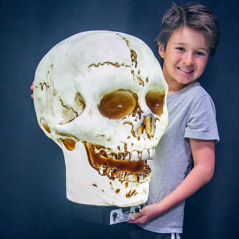 Giant Skull Animatronic Lamp Prop 20-Inch-Tall Heavy Duty Polyresin Halloween Decoration