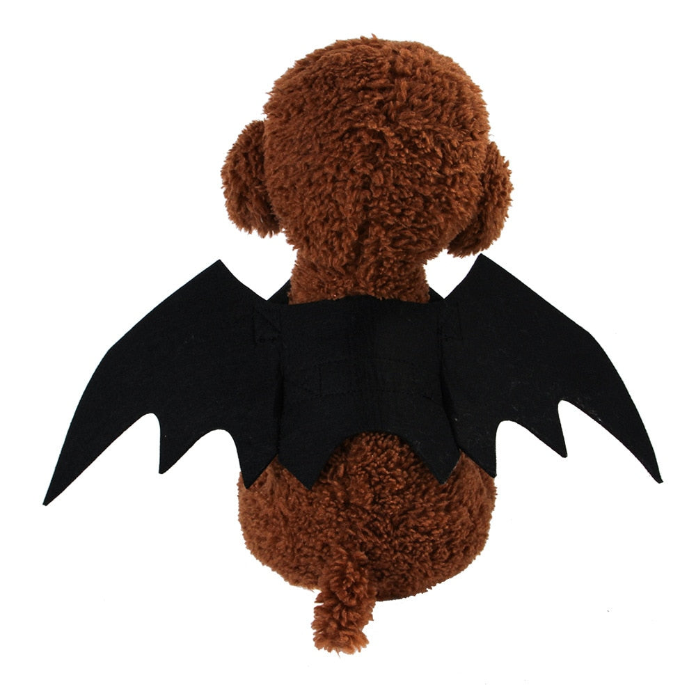 Fashion Cat Clothes Bat Wings