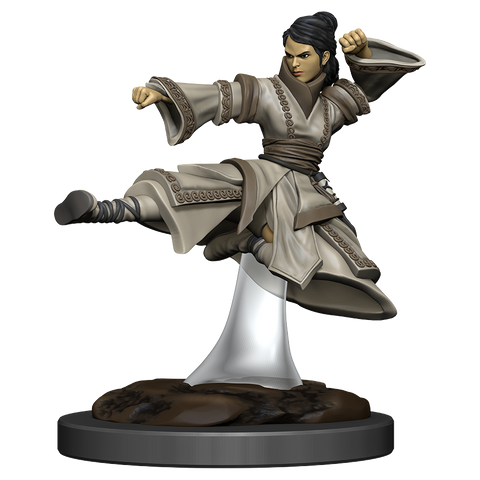D&D: Icons of the Realms - Human Monk Female