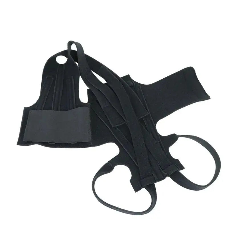 AnniePaw HealPro Dogs Comfort-Back Brace: Quality IVDD Support