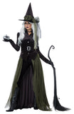 Sexy Gothic Witch Costume for Adults