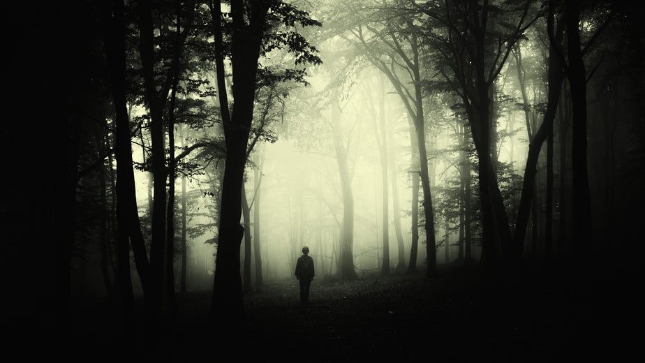 3 Things You Need to Properly Celebrate Halloween
