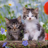 Puzzle: Cuddly Kittens
