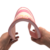 Queen Rosa Foam Shield