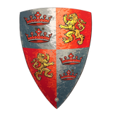 Prince Lionheart Foam Shield