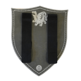 Amber Dragon Knight Foam Shield