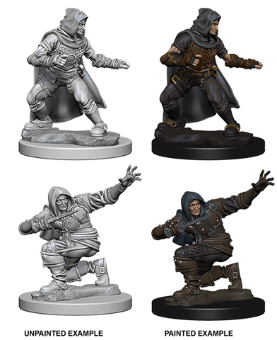 Pathfinder: Deep Cuts - Human Male Rogue