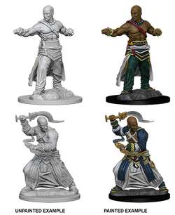 Pathfinder: Deep Cuts - Human Male Monk