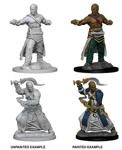 Pathfinder: Deep Cuts - Human Male Monk