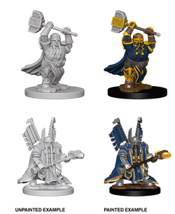 D&D: Nolzur's Marvelous Miniatures - Dwarf Male Paladin