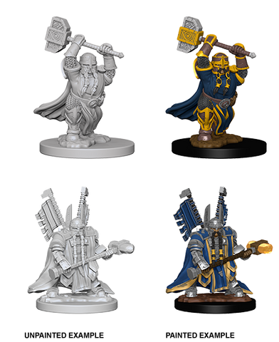 D&D: Nolzur's Marvelous Miniatures - Dwarf Male Paladin