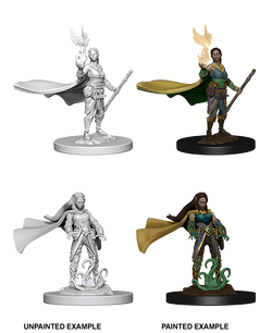 D&D: Nolzur's Marvelous Miniatures - Elf Female Druid