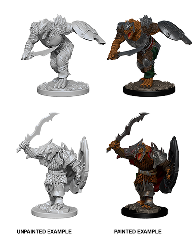 D&D: Nolzur's Marvelous Miniatures - Dragonborn Male Fighter