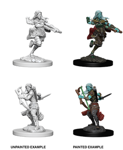 D&D: Nolzur's Marvelous Miniatures - Air Gensai Female Rogue