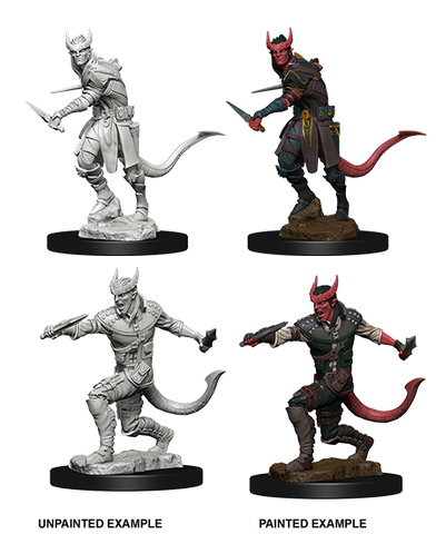 D&D: Nolzur's Marvelous Miniatures - Tiefling Male Rogue