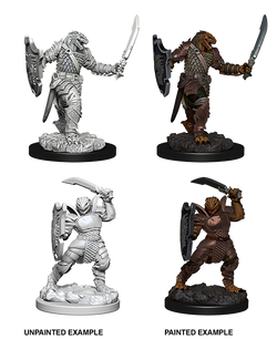 D&D: Nolzur's Marvelous Miniatures - Dragonborn Female Paladin
