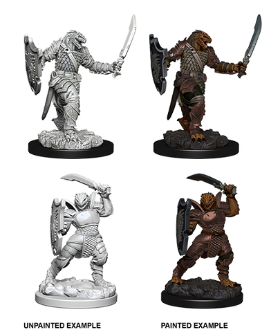 D&D: Nolzur's Marvelous Miniatures - Dragonborn Female Paladin