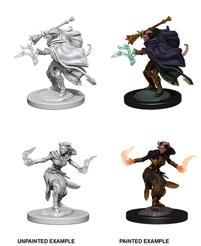 D&D: Nolzur's Marvelous Miniatures - Tiefling Female Warlock