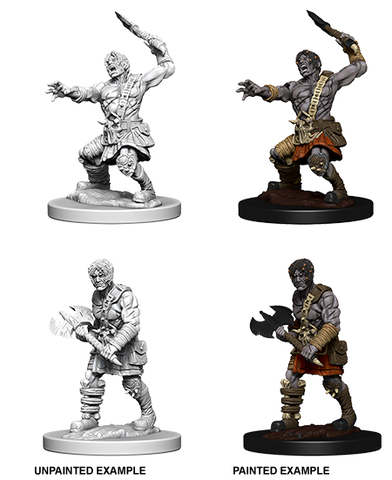D&D: Nolzur's Marvelous Miniatures - Nameless One