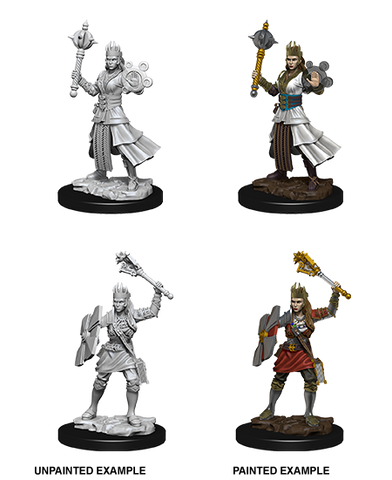D&D: Nolzur's Marvelous Miniatures - Human Female Cleric