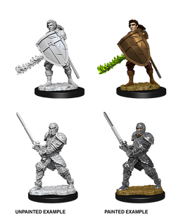 D&D: Nolzur's Marvelous Miniatures - Human Male Fighter