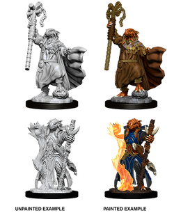 D&D: Nolzur's Marvelous Miniatures - Dragonborn Female Sorcerer
