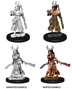 D&D: Nolzur's Marvelous Miniatures - Human Female Druid