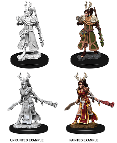 D&D: Nolzur's Marvelous Miniatures - Human Female Druid