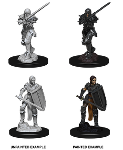 D&D: Nolzur's Marvelous Miniatures - Human Female Fighter
