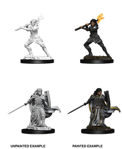 D&D: Nolzur's Marvelous Miniatures - Human Female Paladin
