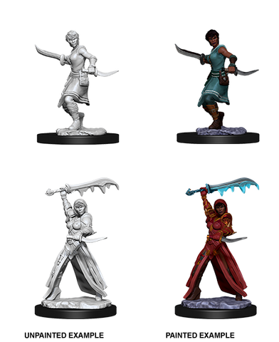 D&D: Nolzur's Marvelous Miniatures - Human Female Rogue