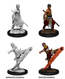 D&D: Nolzur's Marvelous Miniatures - Half-Elf Male Monk