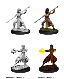 D&D: Nolzur's Marvelous Miniatures - Half-Elf Female Monk