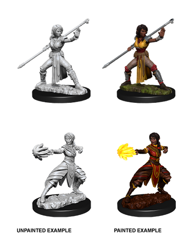 D&D: Nolzur's Marvelous Miniatures - Half-Elf Female Monk