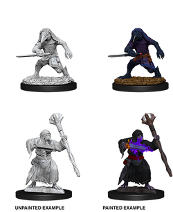 D&D: Nolzur's Marvelous Miniatures - Kenku Adventurers