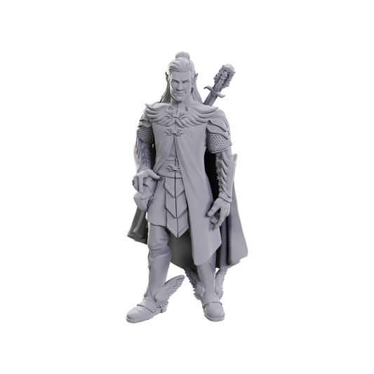 D&D: Critical Role Miniatures - Dorian Storm