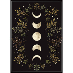 Episodic Drawing: Moonlight Garden Olive Magnet