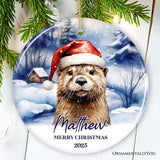 Otter with Santa Hat Personalized Ornament, Festive Christmas Gift With Custom Name and Date