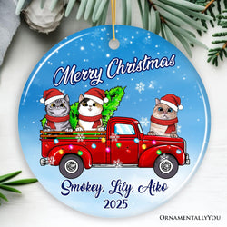 Personalized Christmas Cat Family  Ornament, Up to Three Kittens with Names
