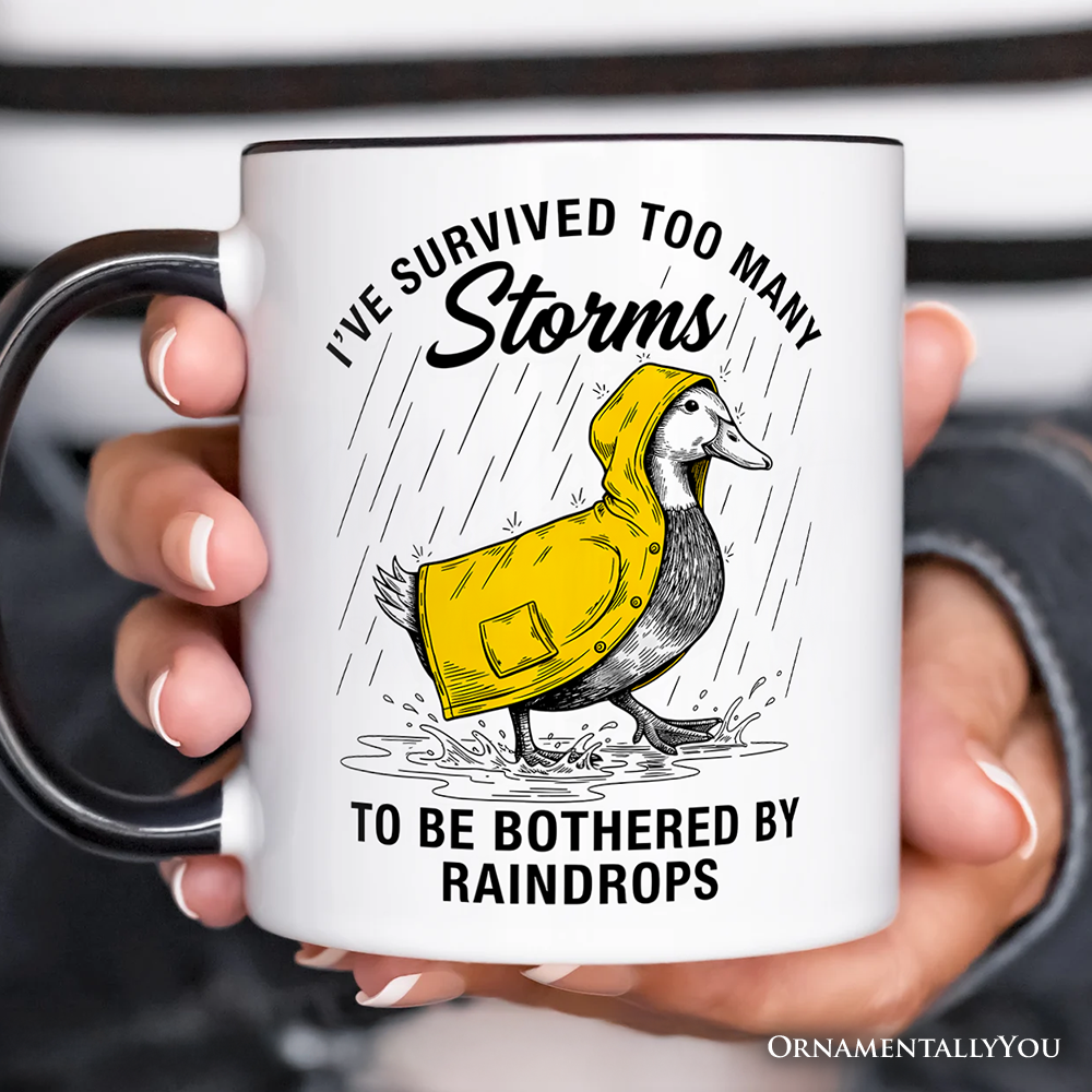 Goose Motivational Personalized Mug, Survived Too Many Storms Funny Quote Gift with Custom Name