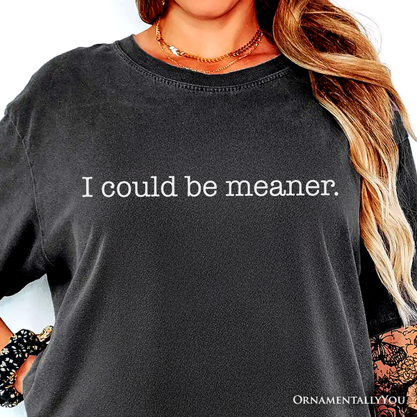 I Could Be Meaner T-Shirt, Sarcastic Quote Minimalist Tee