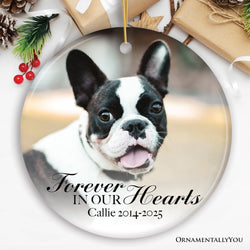 Dog Memorial Personalized Picture Ornament