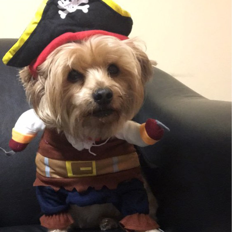 Funny Halloween Pet Dog Pirate Costumes