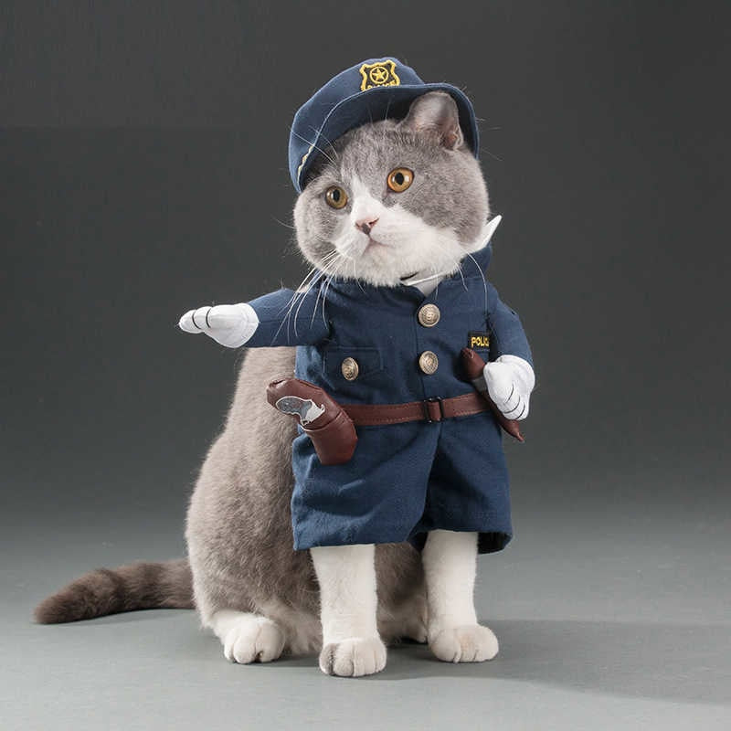 Funny cats and dogs costumes