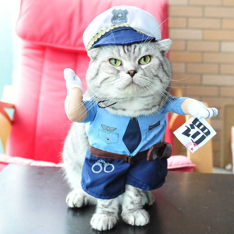 Funny cats and dogs costumes